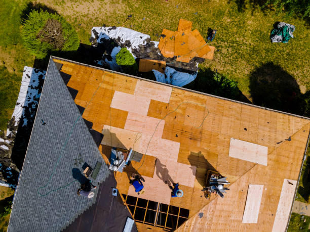 Best Roof Gutter Cleaning  in East Alton, IL